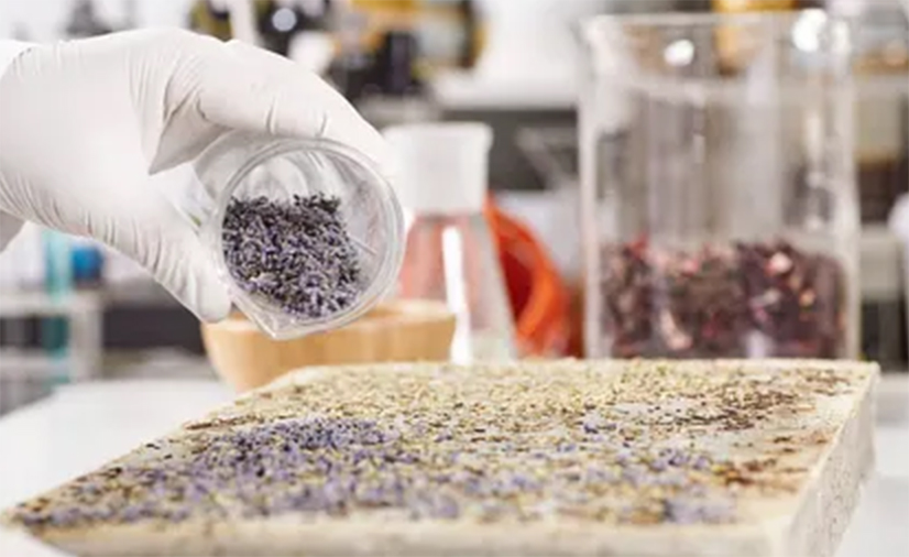 Product development and research focus